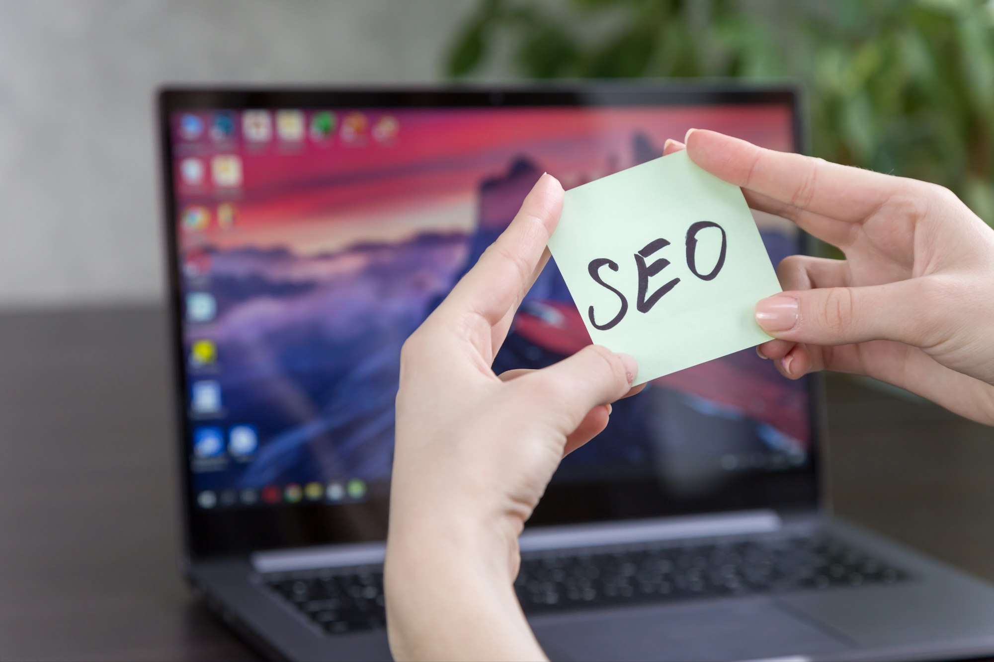 référenceur SEO